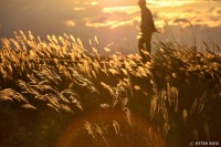 /album/photo-gallery-silhouette/a1-12-1-jpg/